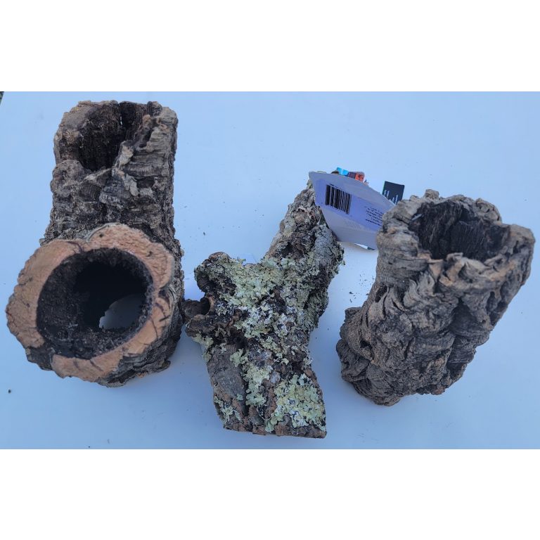 JRP Natural Cork Bark Rounds Large (10" 12") The Dragon Lair