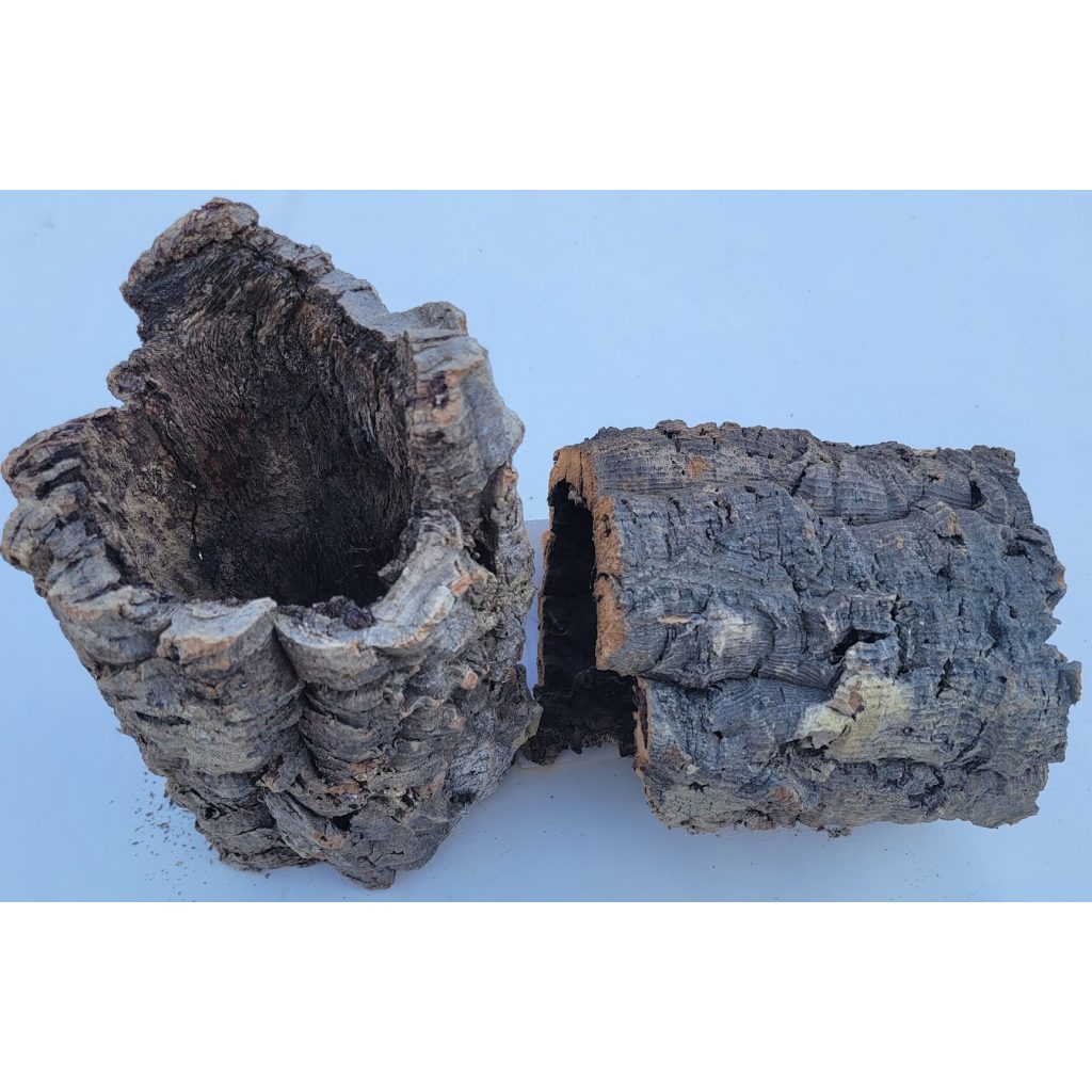 JRP Natural Cork Bark Rounds Medium (7" 9") The Dragon Lair