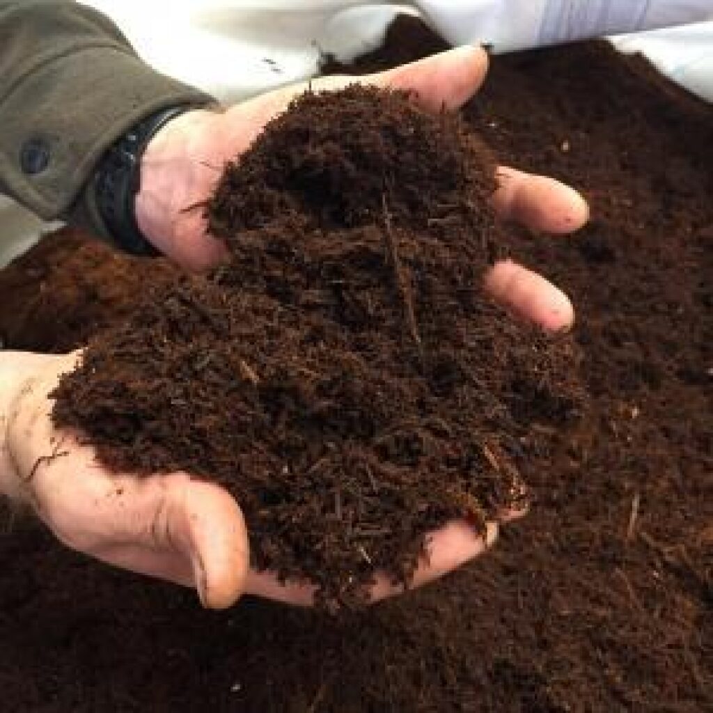 Fernwood New Zealand Tree Fern (Xaxim) Terrarium Substrate - 10L - The ...