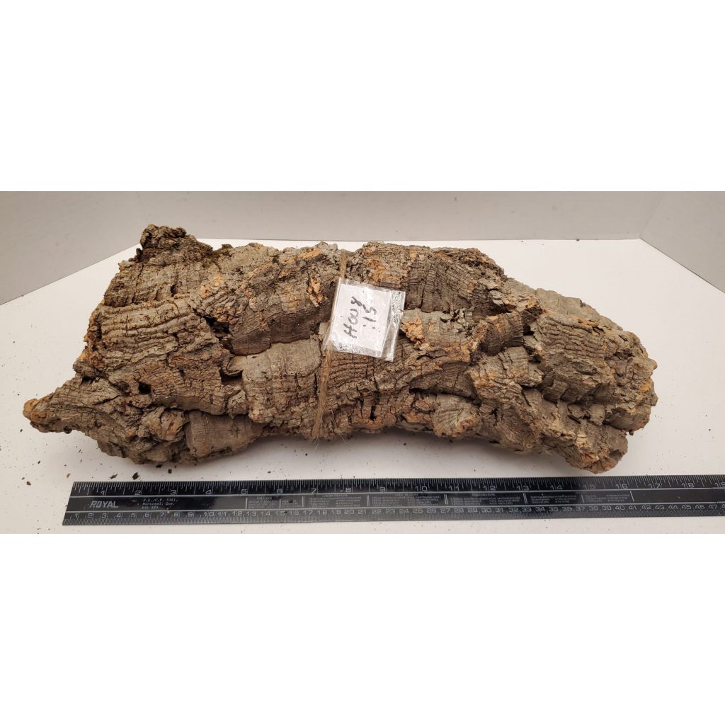 Cork Bark Half Round H008 The Dragon Lair