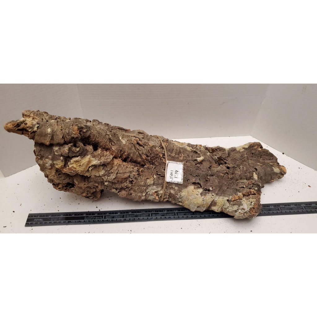 Cork Bark Half Round H011 The Dragon Lair