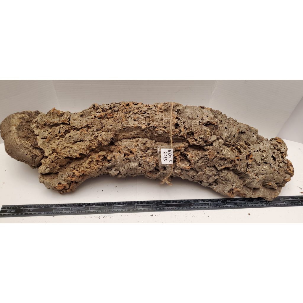 Cork Bark Half Round H002 The Dragon Lair