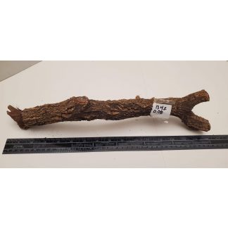 Cork Bark - Branch B042