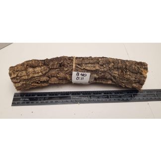 Cork Bark - Branch B040
