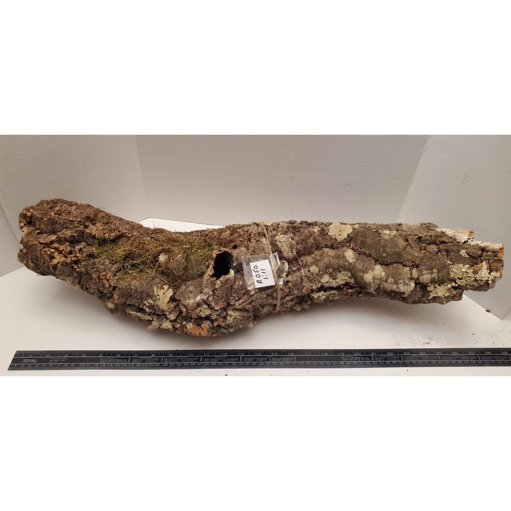 Cork Bark - Round R050 - The Dragon Lair