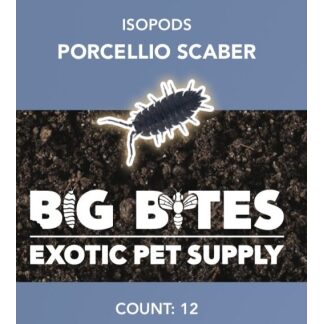 Big Bites Porcellio Scaber 'Party Mix' Isopods (12pk)